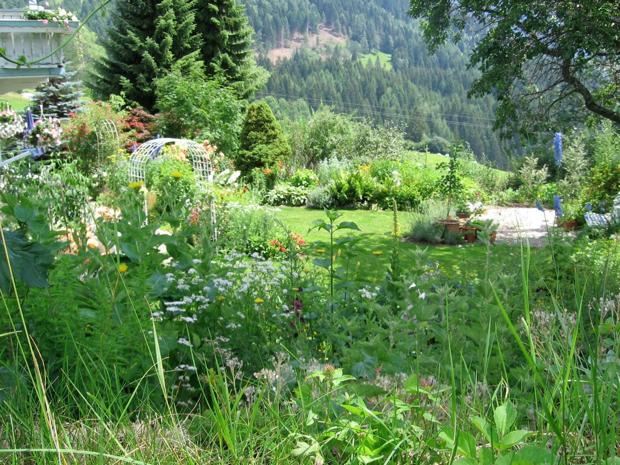 Naturkraeuterhaus Eder Iselsberg ภายนอก รูปภาพ