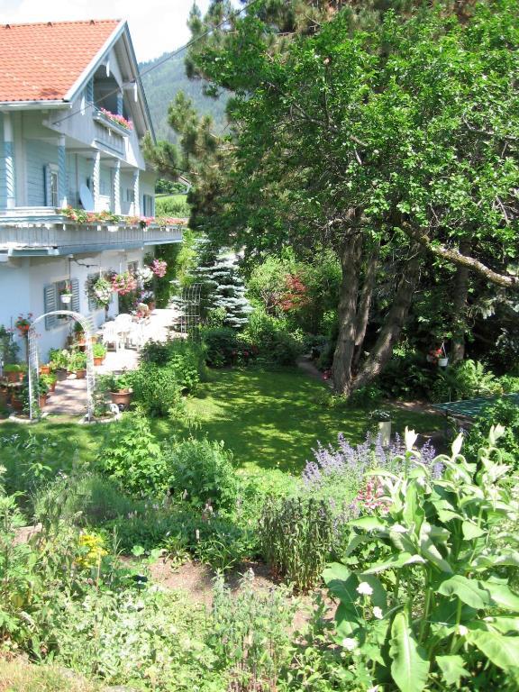 Naturkraeuterhaus Eder Iselsberg ภายนอก รูปภาพ